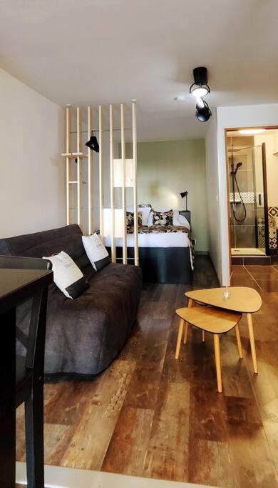 Appartement My Conciergerie By Lv- Le St O-zone *